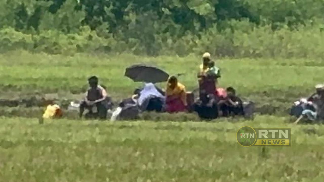 সীমান্তে উত্তেজনা: পুশইন ব্যর্থ, গুলিতে আহত ২; কাঁটাতারের বেড়া ঠেকালো বিজিবি