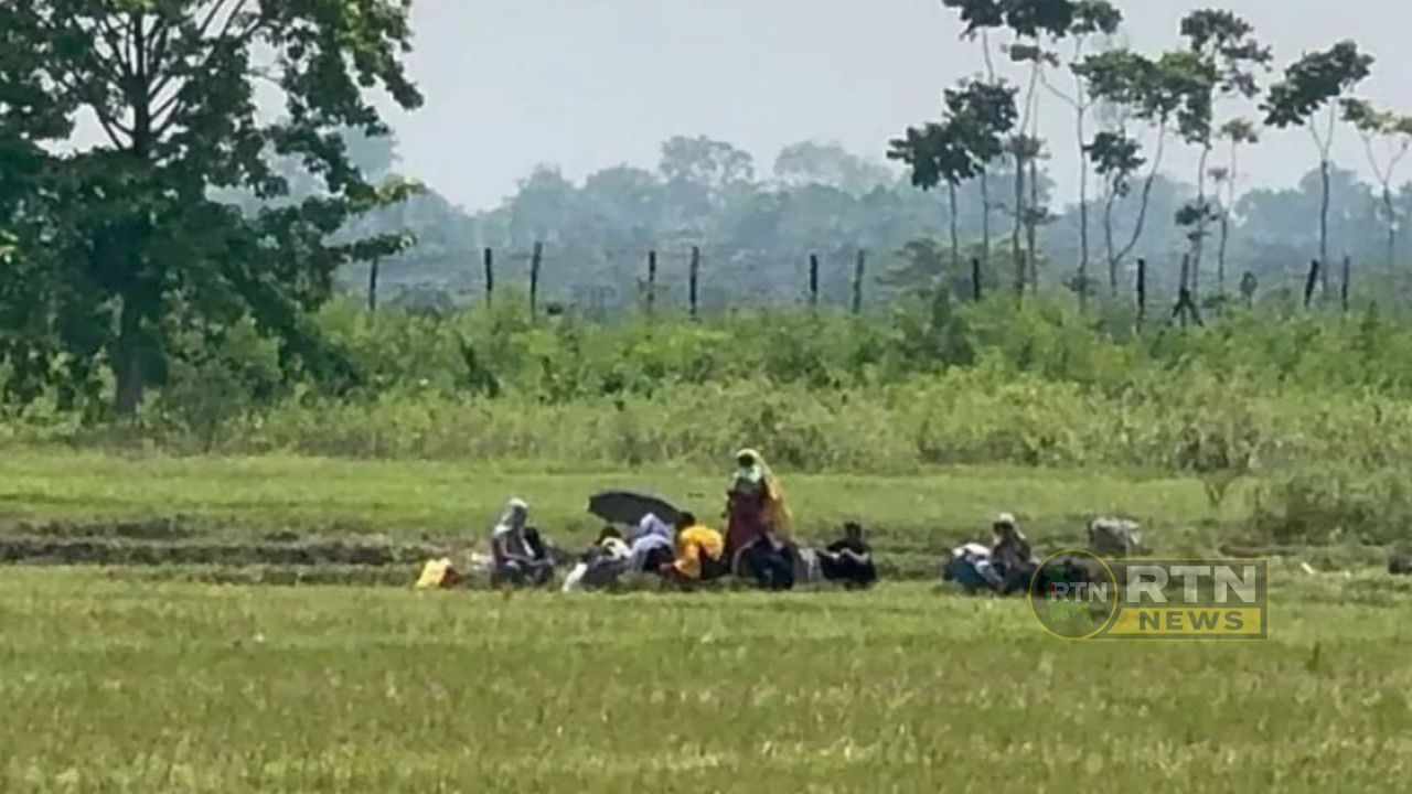 সীমান্তে পুশইন ঠেকাতে বিজিবির কড়া অবস্থান, ২৪ ঘণ্টায় বিএসএফের ১০ প্রচেষ্টা ব্যর্থ