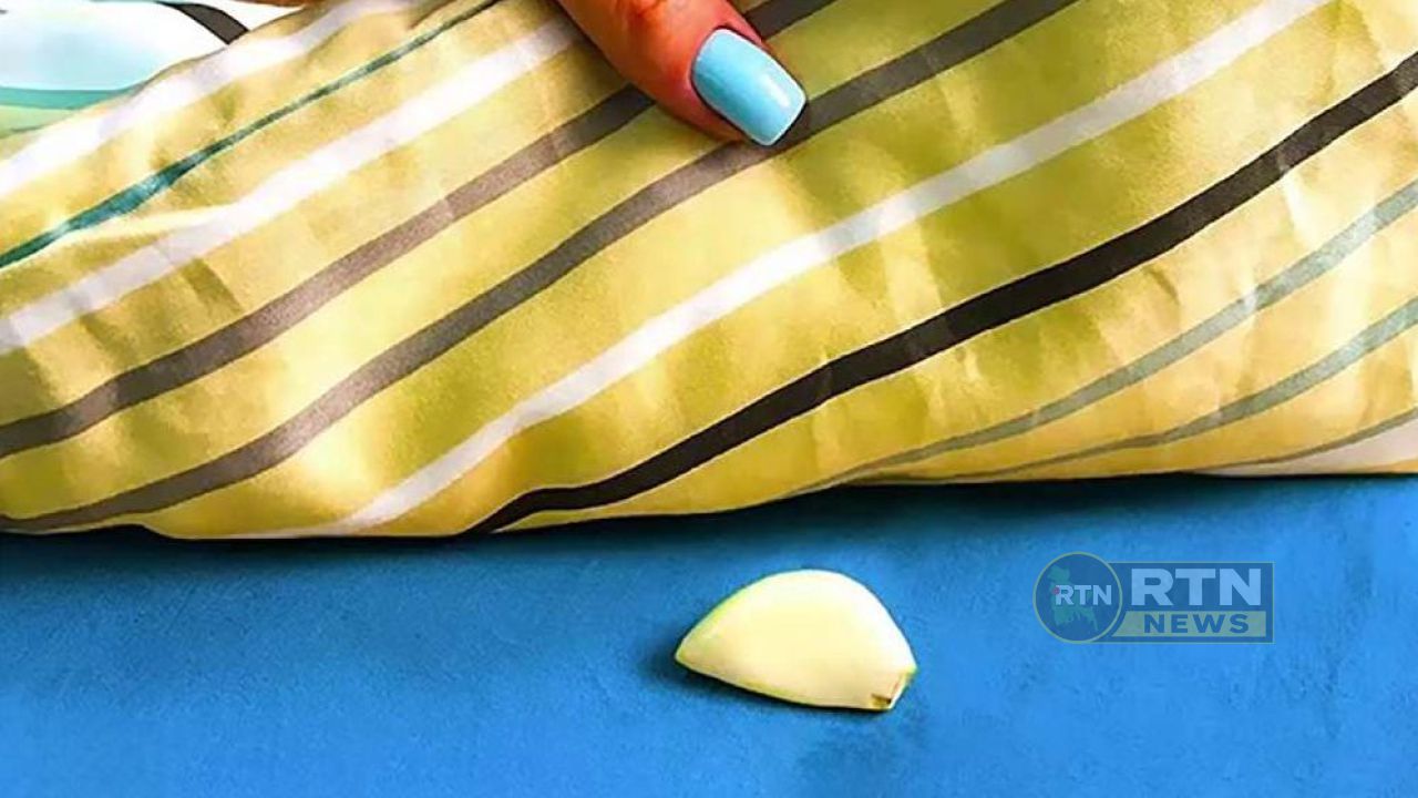 রসুনের অবিশ্বাস্য গুণ: রান্নাঘর থেকে বালিশের নিচে পর্যন্ত