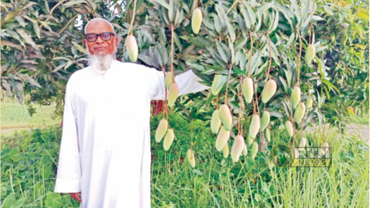 ফেনীতে ১০২ জাতের আমের ব্যতিক্রমী বাগান, কোটি টাকার বিক্রির আশা