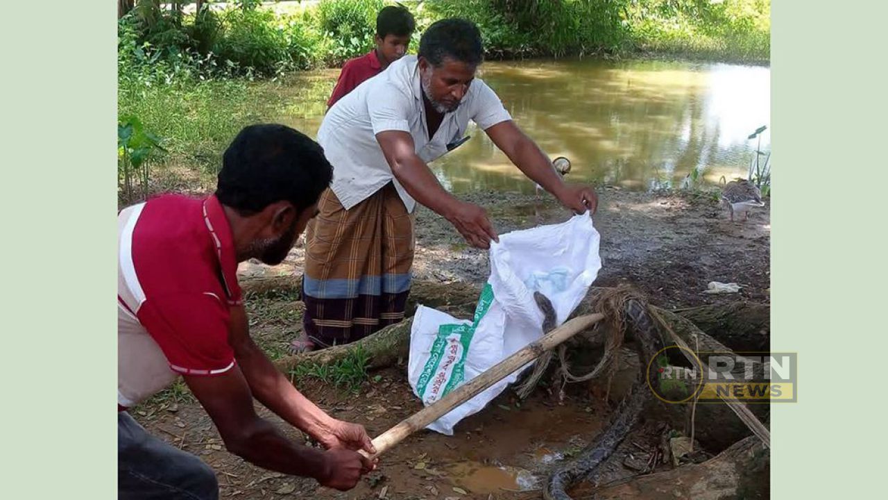 জেলেদের জালে ধরা ৮ ফুটের অজগর, উদ্ধার করে বনে অবমুক্ত করল বন বিভাগ