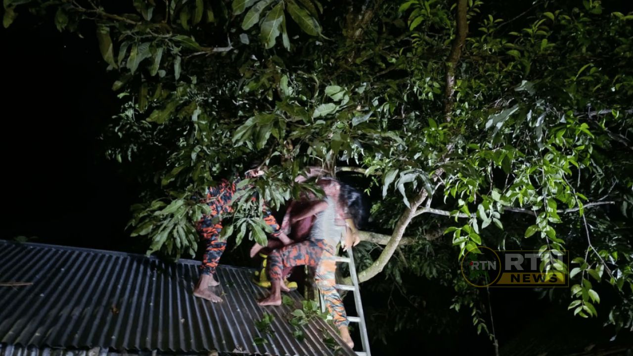 রাতে আমগাছের মগডাল গৃহবধূ, অচেতন অবস্থায় উদ্ধার ফায়ার সার্ভিসের 