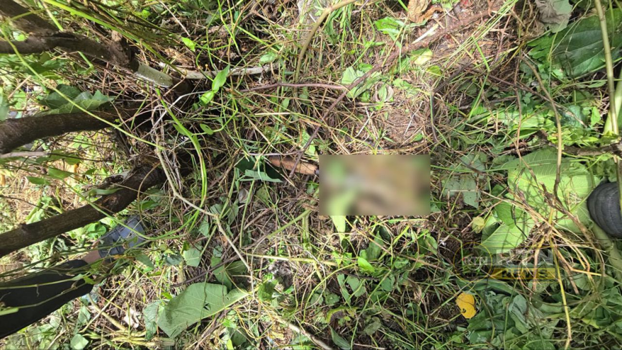 সিলেটে তিন খুন: হত্যায় ব্যবহৃত ছুরি উদ্ধার