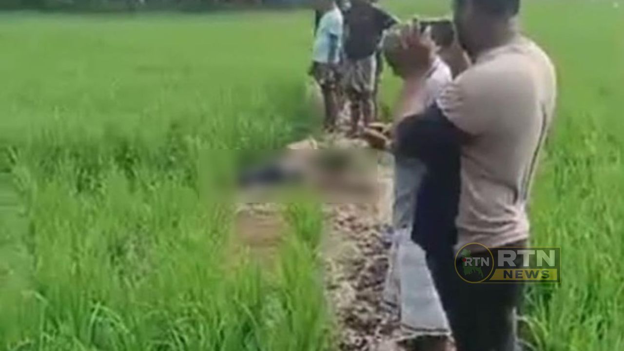 ধানক্ষেতে ইঁদুর মারার বৈদ্যুতিক ফাঁদে প্রাণ গেল কৃষকের