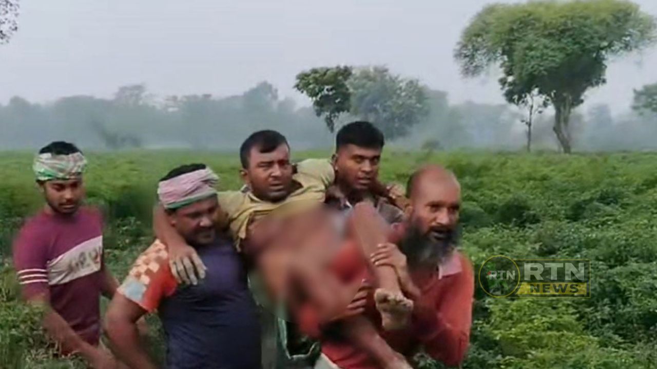 কুষ্টিয়া সীমান্তে বিএসএফের গুলি, আহত বাংলাদেশি কৃষক; বিজিবির পাল্টা ফায়ার