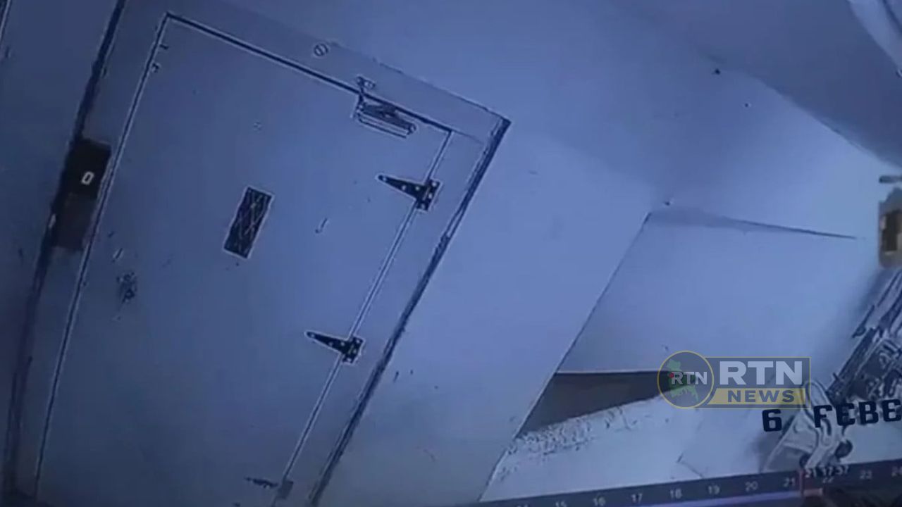 পোষা বিড়াল নিয়ে বিরোধের জেরে ১৮ মাসের শিশুকে হত্যা, আটক ১০ বছরের কিশোরী